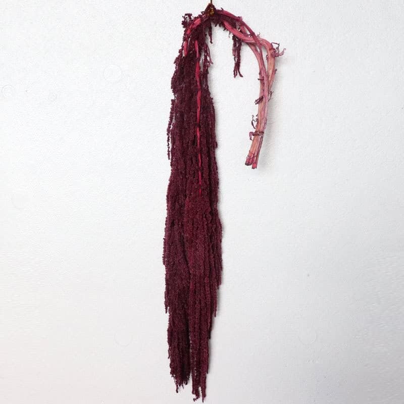 Hanging Amaranthus Natural Red- 5 Stems | Dried Flowers | Hanging Flowers | Natural Flowers | Wisteria Vine | Preserved Flowers