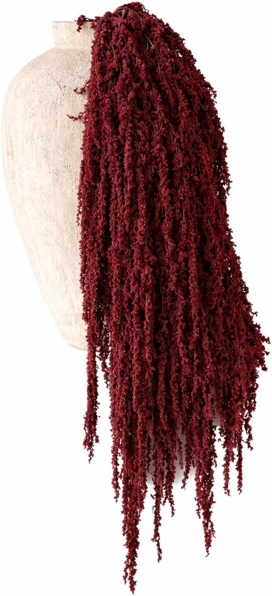 Hanging Amaranthus Natural Red- 5 Stems | Dried Flowers | Hanging Flowers | Natural Flowers | Wisteria Vine | Preserved Flowers