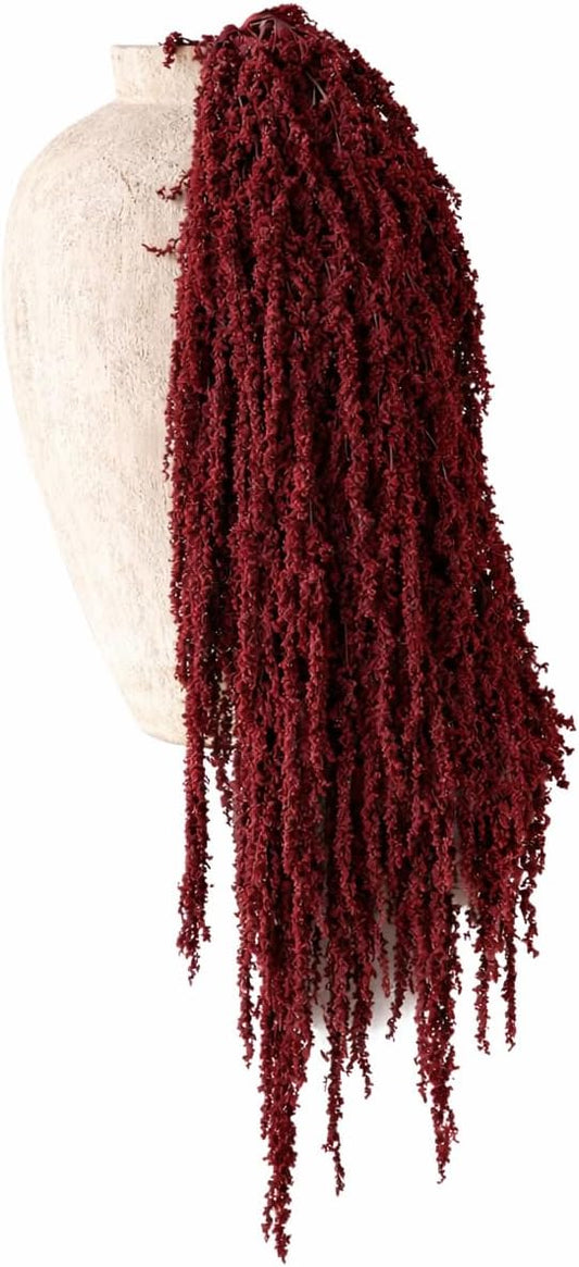 Hanging Amaranthus Natural Red- 5 Stems | Dried Flowers | Hanging Flowers | Natural Flowers | Wisteria Vine | Preserved Flowers