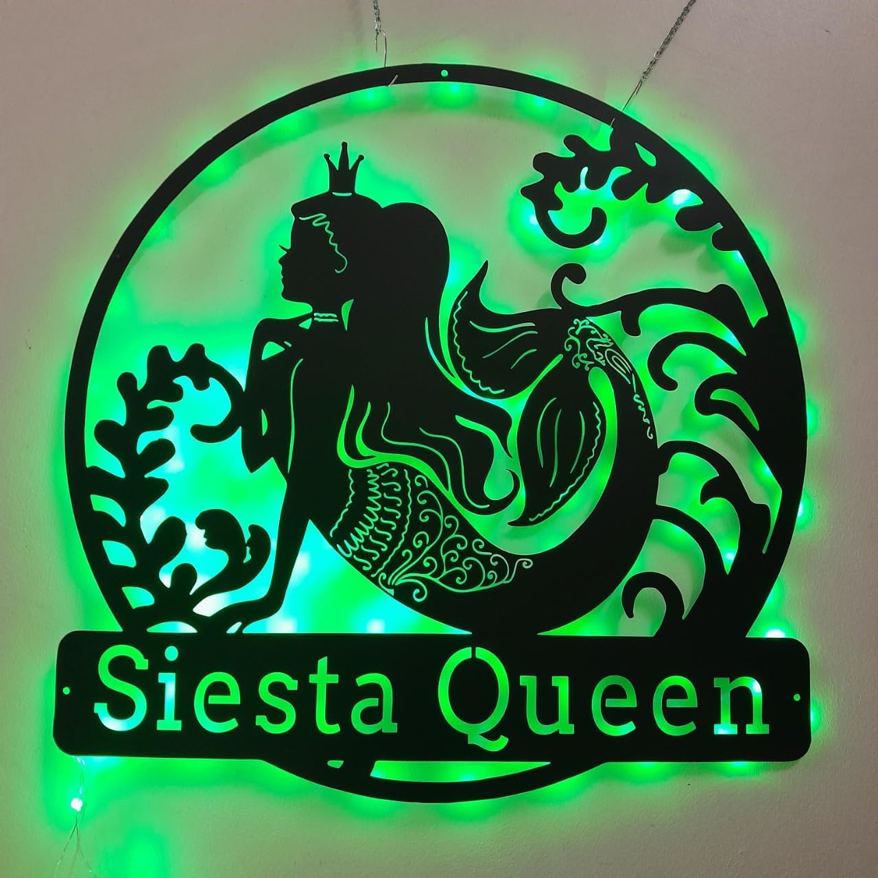 TIZE Metal Sign Custom Name-Custom Wakeboard Medal Holder LED Light, Personalized Wakeboard Player Name Medal Hanger, Wakeboard Medal Display Awards Sign, Wakeboard,16 color led light