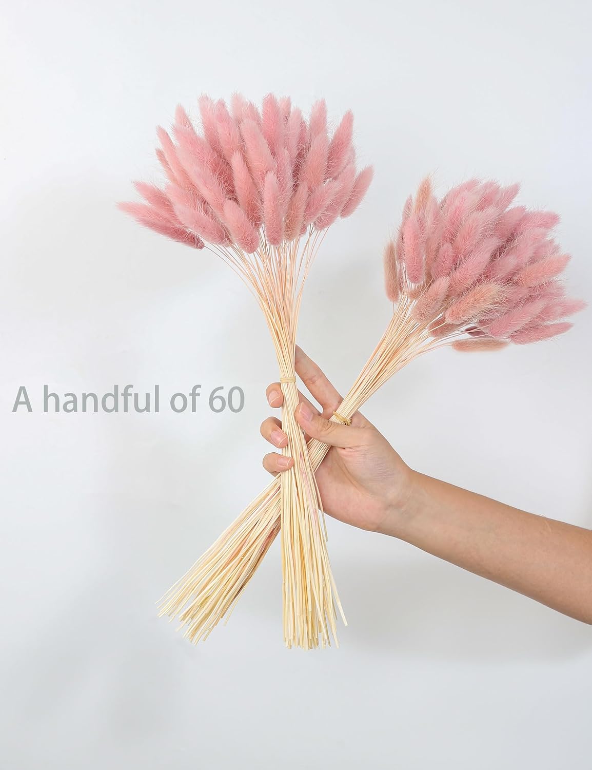 xin's convey 120pcs Dried Rabbit Tails, Dusty Pink Bunny Tails, Natural Bulk Dried Flowers for DIY Bohemian Wedding Rustic Party Decorations, Garlands, Cake Decorations. (Dusty Pink)