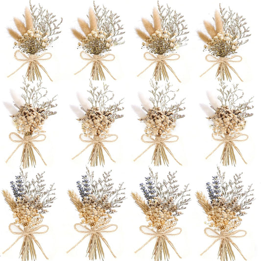 xin's convey Mini Flower Bouquet Set (12pcs), Cake Bouquet, Dried Flower Decoration, Shooting Prop, Envelope Decoration Dried Flower(Primary Colour)