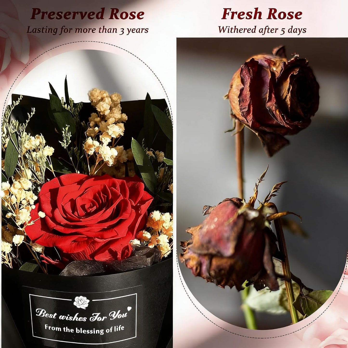 Preserved Red Rose in Gift Box