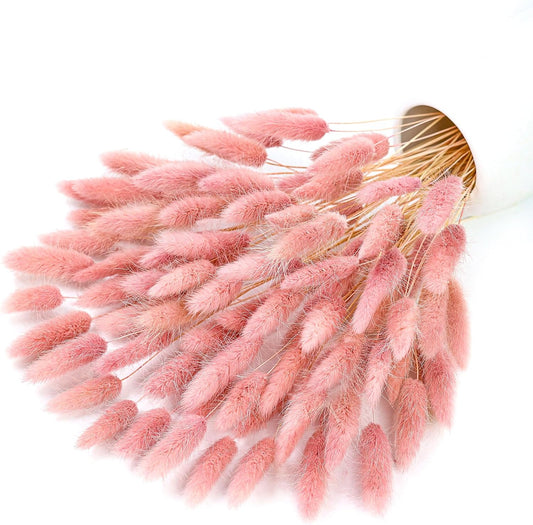 xin's convey 120pcs Dried Rabbit Tails, Dusty Pink Bunny Tails, Natural Bulk Dried Flowers for DIY Bohemian Wedding Rustic Party Decorations, Garlands, Cake Decorations. (Dusty Pink)