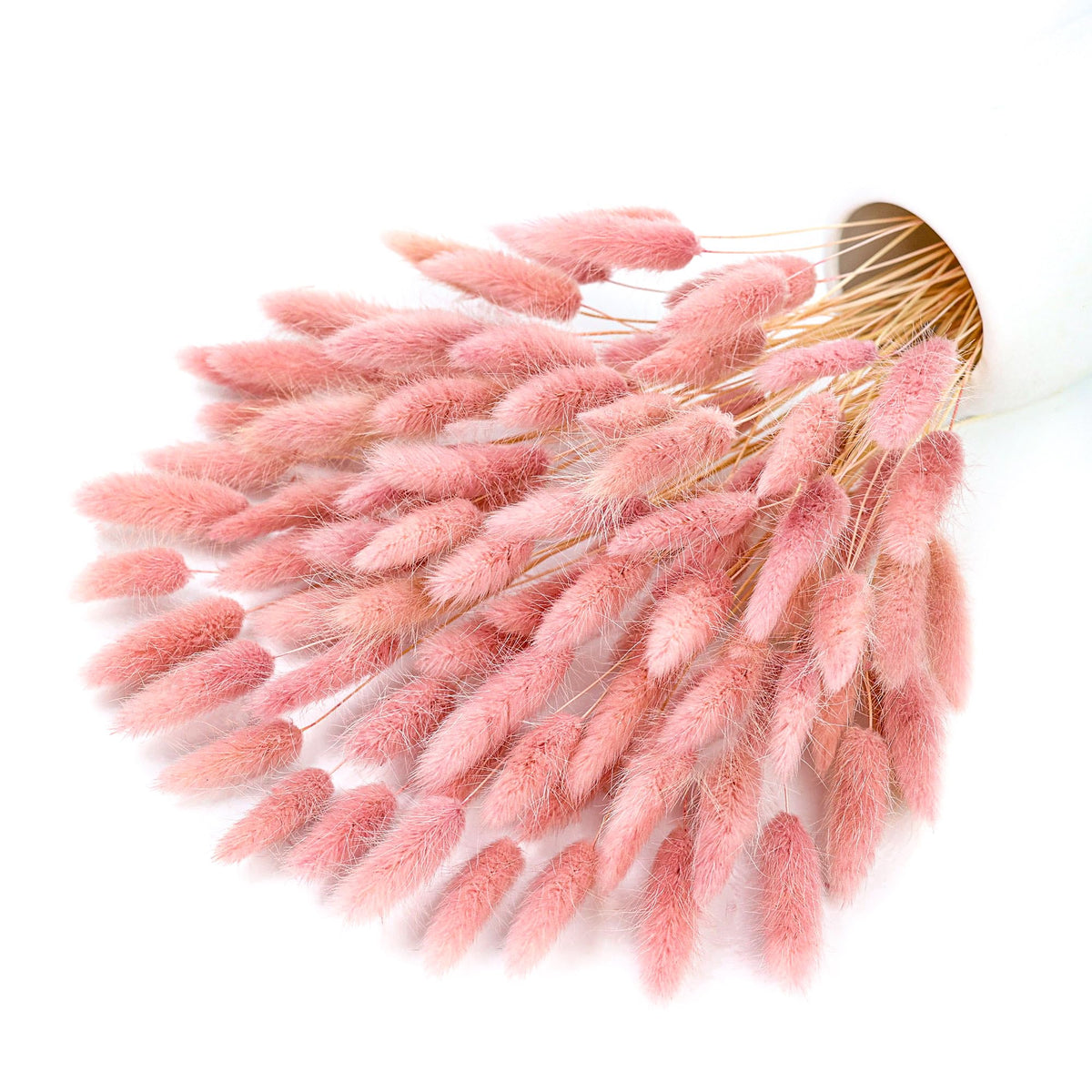 xin's convey 120pcs Dried Rabbit Tails, Dusty Pink Bunny Tails, Natural Bulk Dried Flowers for DIY Bohemian Wedding Rustic Party Decorations, Garlands, Cake Decorations. (Dusty Pink)