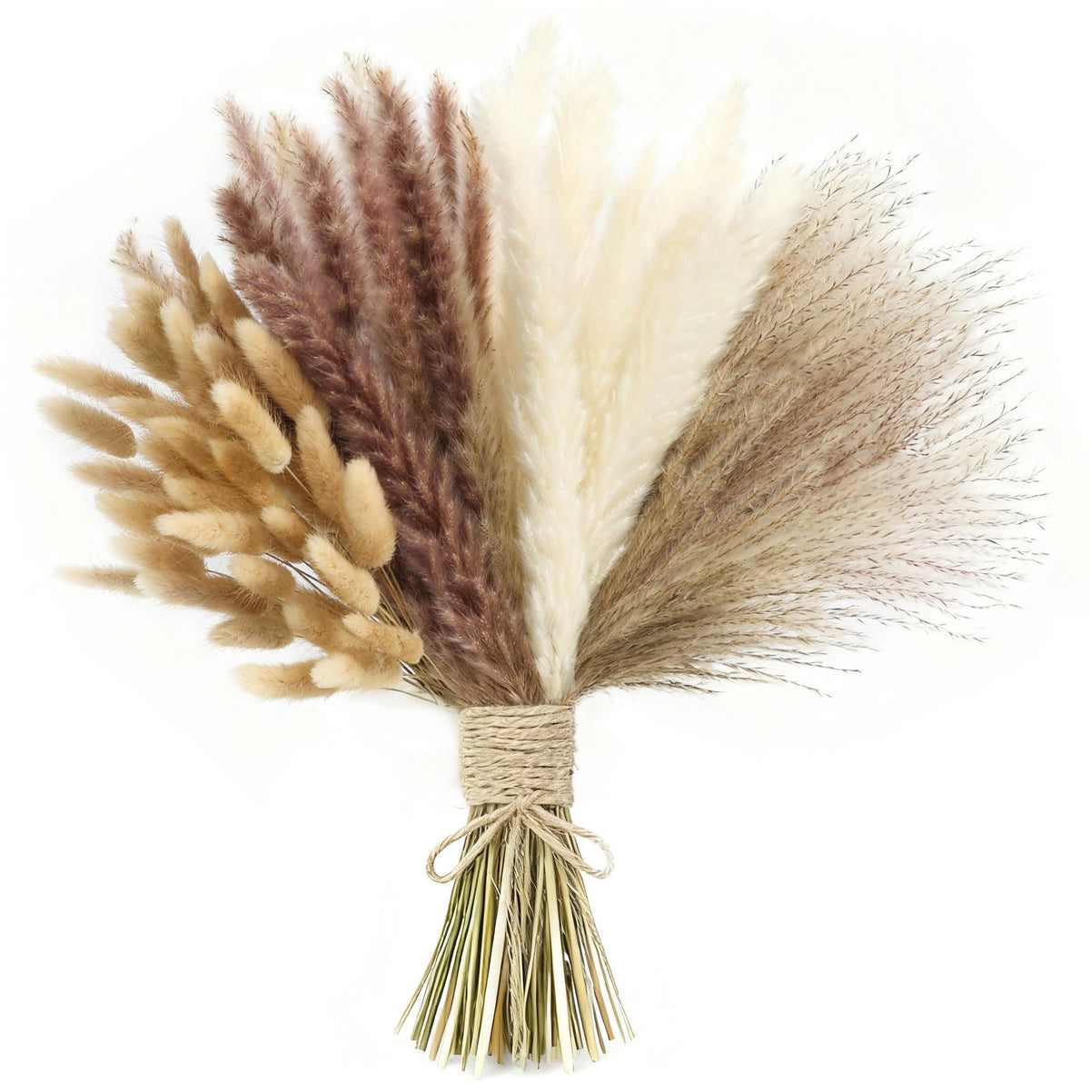 xin's convey 126pcs Dried Pampas Grass Decorations, Dried Flowers Bouquet, Reed Grass Bouquet for Boho Floral Wedding, Bedroom, Rustic Farmhouse Decor. (White)