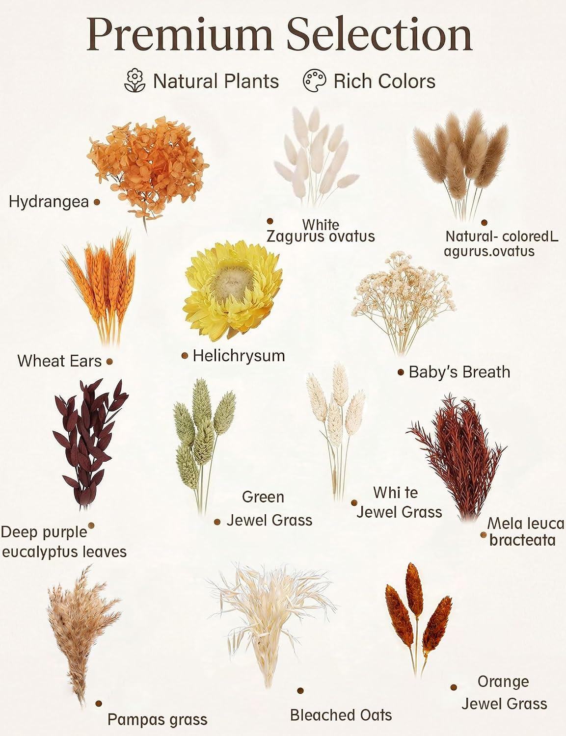 DIY Dried Flower Set, Bulk Dried Flowers Bouquet, Dried Flower Vase Arrangement, Autumn Decoration,Dried Flowers with Stems. (Fall)