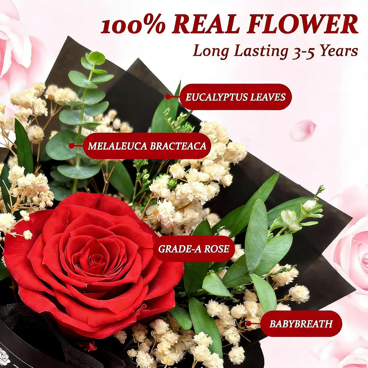 Preserved Red Rose in Gift Box