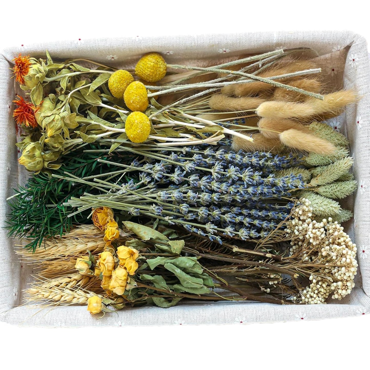 xin's convey DIY Natural Dried Flower Set, Bulk Dried Flowers for Vase, Dried Flowers with Stems, Dried Roses, Mini Dried Flower Bouquets.(Brown)