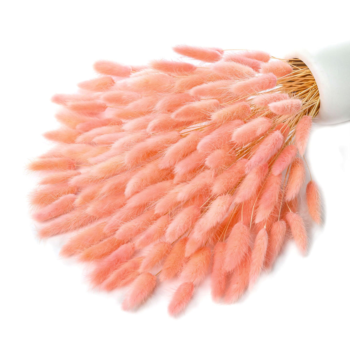 xin's convey 120pcs Dried Rabbit Tails, Dusty Pink Bunny Tails, Natural Bulk Dried Flowers for DIY Bohemian Wedding Rustic Party Decorations, Garlands, Cake Decorations. (Dusty Pink)